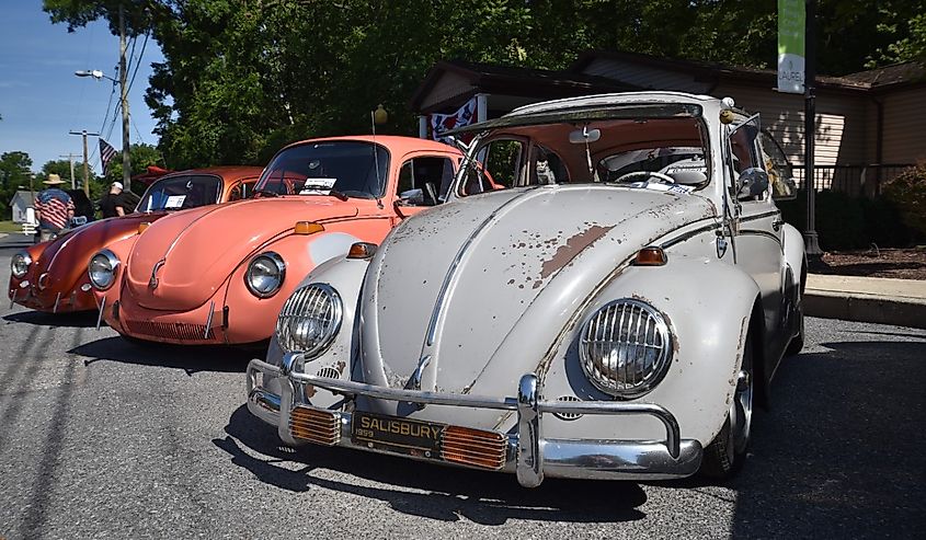 Three Volkswagen VW Beetles line up on display along the street at Laurel, Delaware's annual car show event.