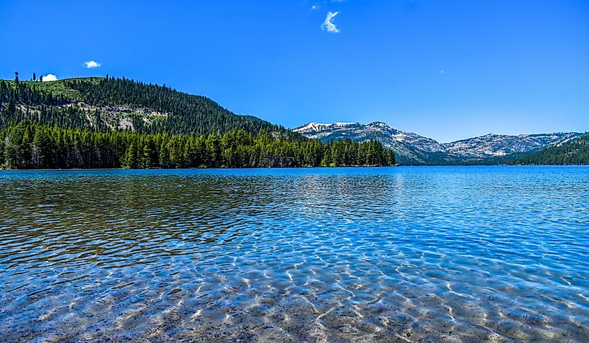 A serene lake with crystal-clear blue water, surrounded by dense green pine forests and distant snow-capped mountains under a bright blue sky.
