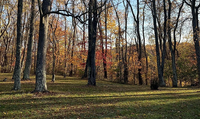 Autumnal view in Toronto, Ohio.