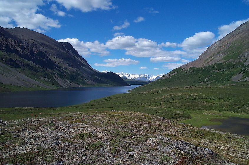 Land Mark Gap near Glennallen, Alaska.
