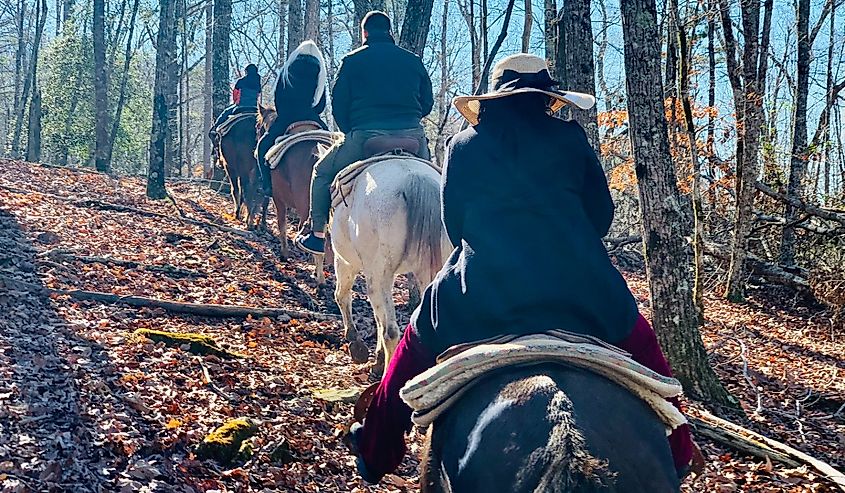 Horse back riders in single file going uphill in Dahlonega, Georgia