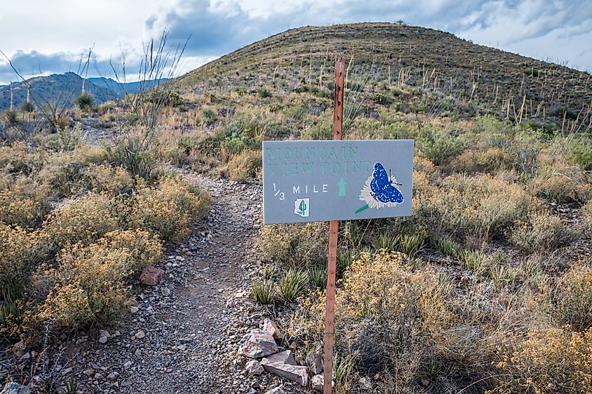 Sign for the Mountain View Point Trail in the Kartchner Caverns State Park, Arizona.