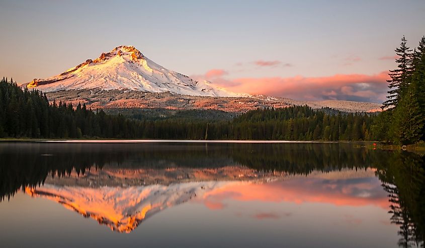 Mount Hood reflecting in Trillium Lake at sunset, National Forest, Oregon USA