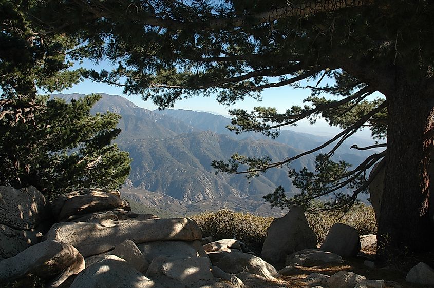 San Bernardino National Forest