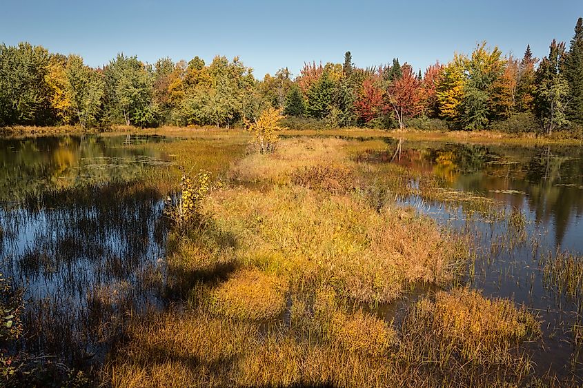 Magalloway River in autumn in the Umbagog National Wildlife Refuge in Errol, New Hampshire. 