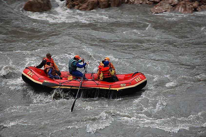 Whitewater rafting on the Nenana River in Denali National Park, Alaska.