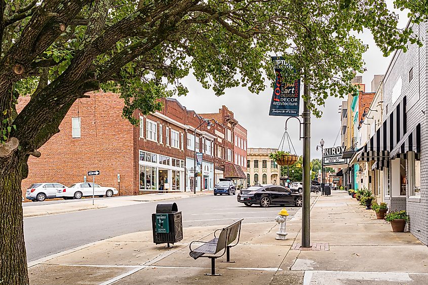 A Quiet Bench Under a Shade Tree in Historic Downtown Roxboro.