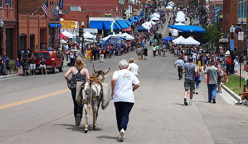 Donkey race during festival in Cripple Creek, Colorado.