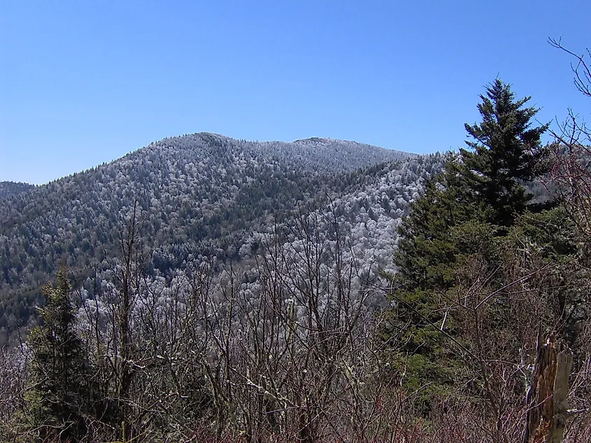 Mount Guyot in the Great Smoky Mountains at the Tennessee/North Carolina border.