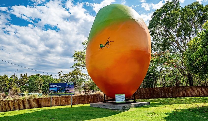 The Big Mango sculpture outside the Bowen Visitor Centre, Queensland.