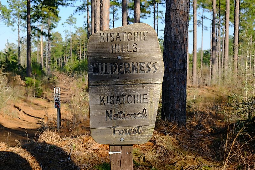 Kisatchie National Forest, Louisiana