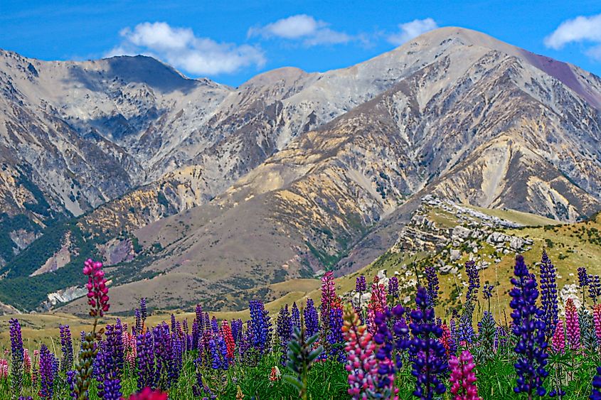 Arthur's Pass in New Zealand.