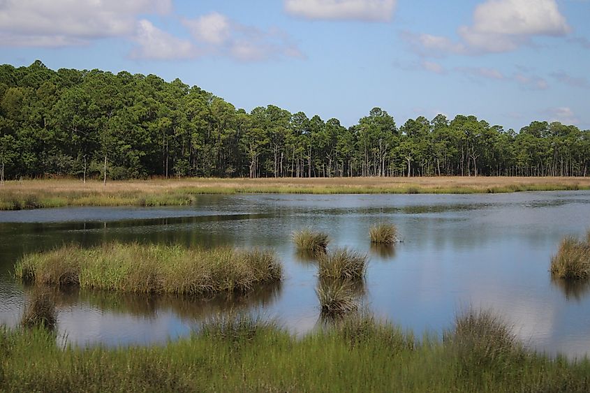 Mississippi Bayou in Ocean Springs