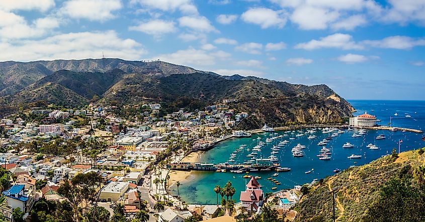 Aerial view of Catalina Island