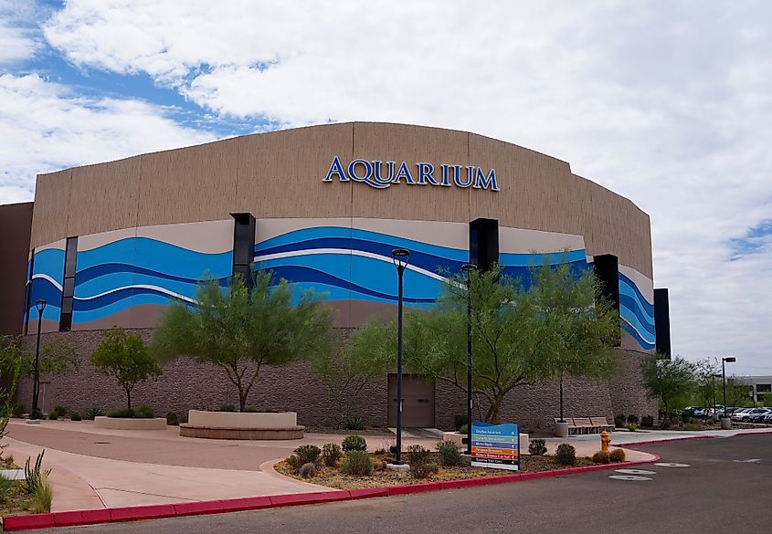 View of OdySea Aquarium