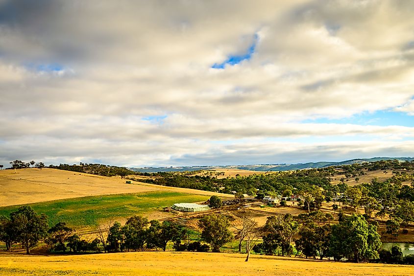 Farmlands in Yankalilla, South Australia.