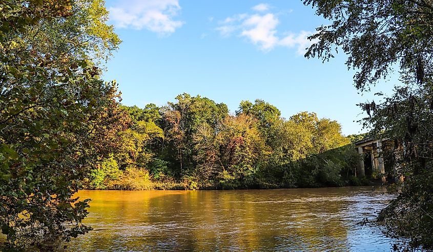 A beautiful autumn landscape along the Chattahoochee River with silky brown water and autumn colored trees, blue sky and clouds at Chattahoochee River National Recreation Area in Sandy Springs Georgia