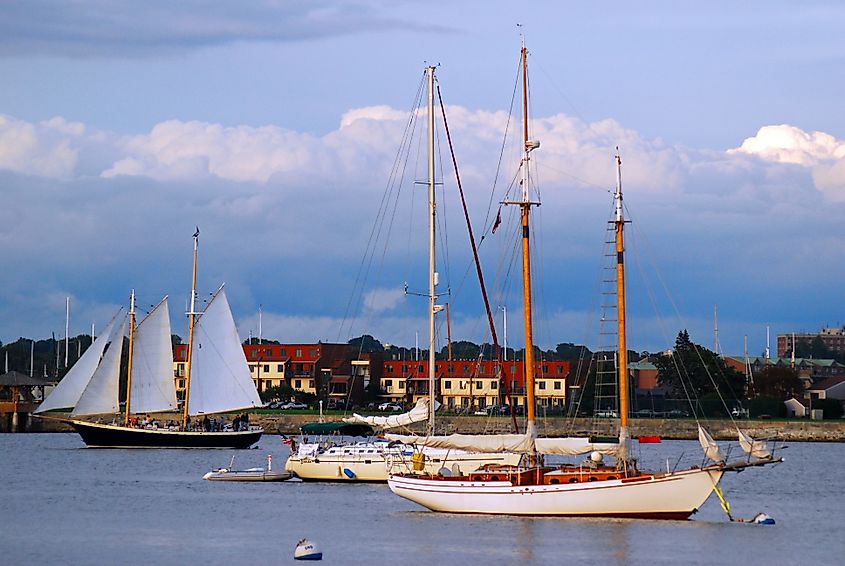 The harbor in Newport, Rhode Island