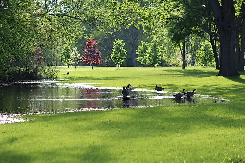 Riverside Park in Grand Rapids, Michigan