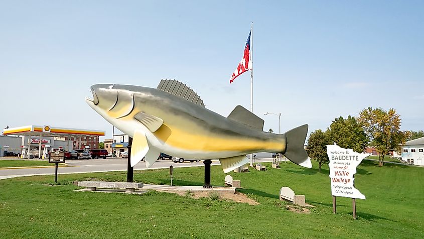 Willie the Walleye in Minnesota.