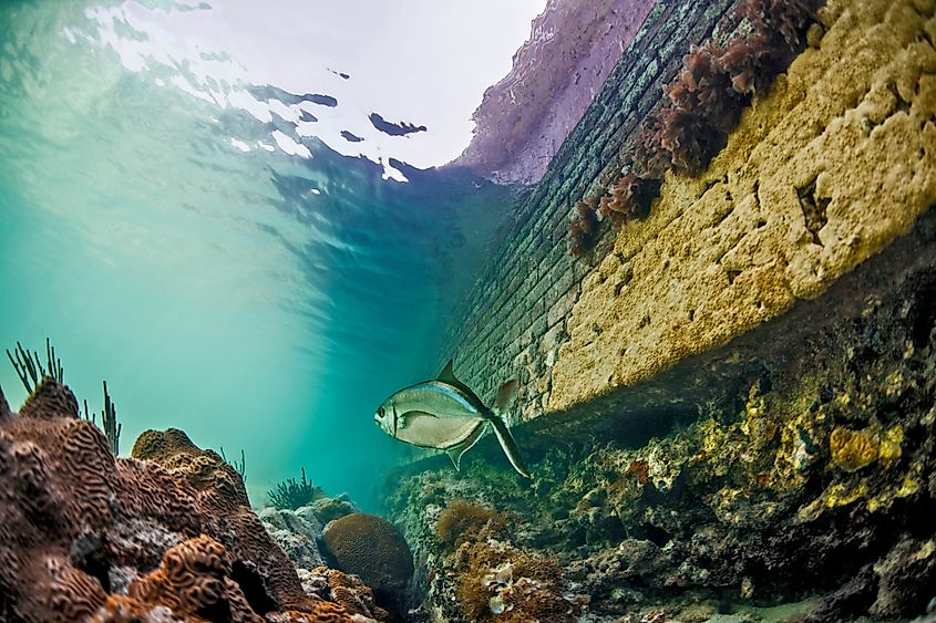 Tortugas Ecological Reserve in Florida Keys National Marine Sanctuary