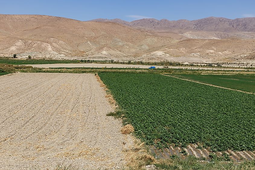 Agriculture fields in rural Iran