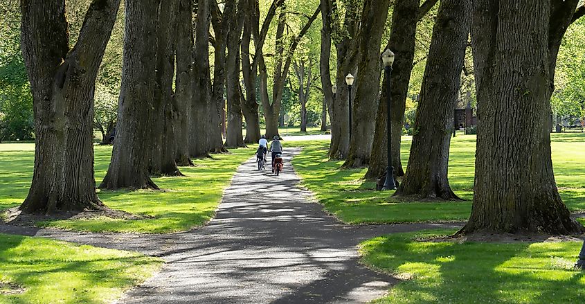 A family cycling on a bike path in Corvallis, Oregon.