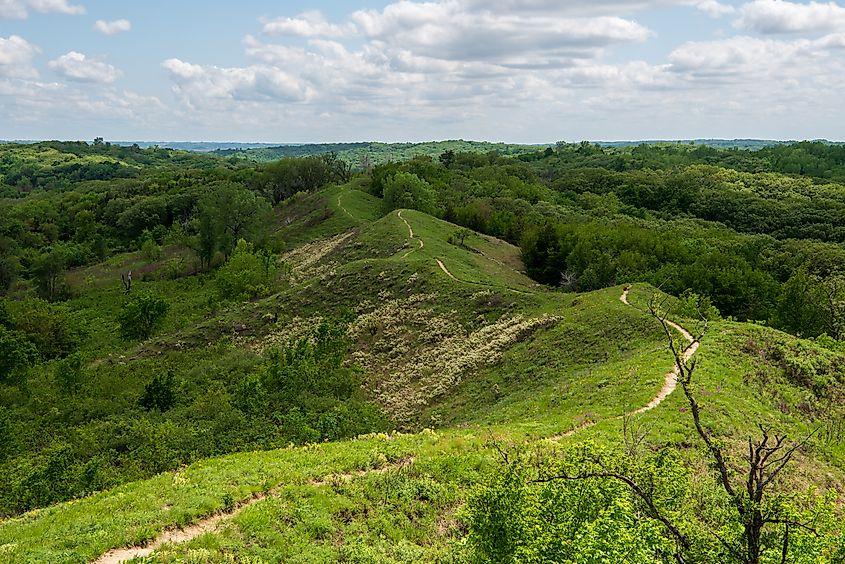 Loess Hills Forest Overlook along the Preparation Loop of the Loess Hills National Scenic Byway.