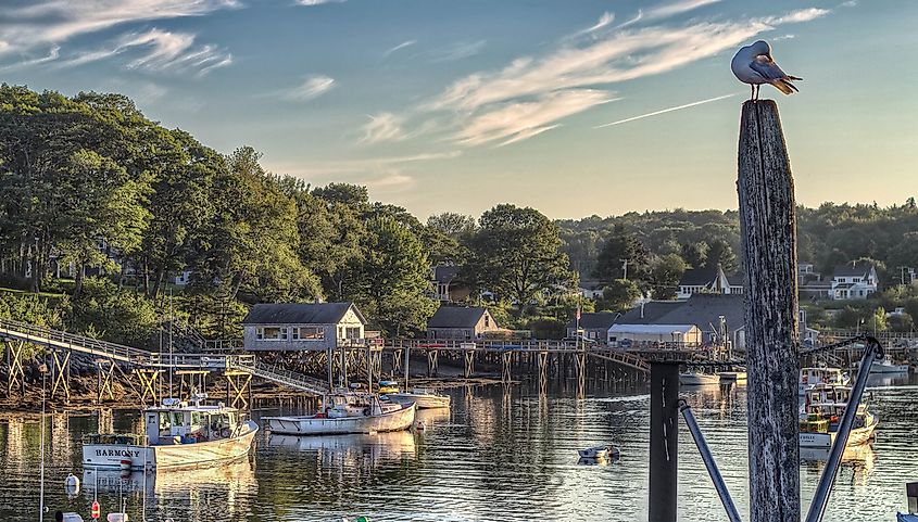 View from Shaws Wharf in New Harbor, Maine.