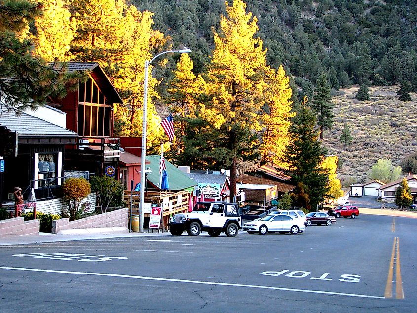 Street view in Wrightwood, California, capturing a vibrant sunset illuminating the trees with an array of businesses along the road, reflecting the town's charming and relaxed atmosphere.