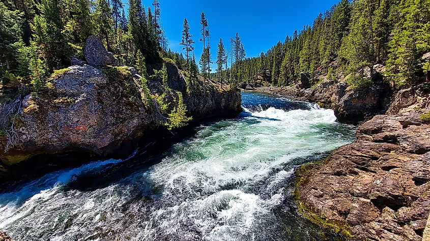 A river in Yellowstone National Park.