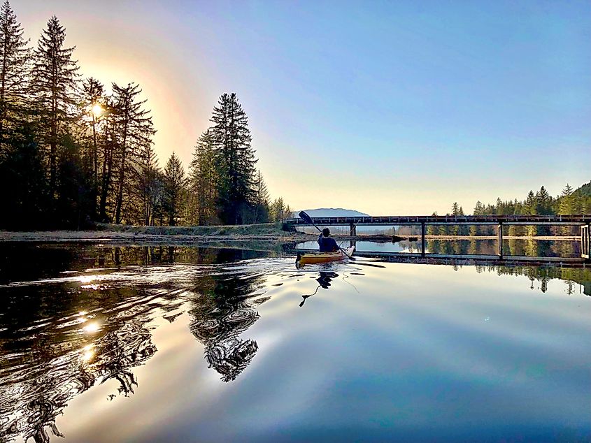 A kayaker paddling through Blind Slough in Petersburg, Alaska, surrounded by serene waters, lush greenery, and the natural beauty of the Alaskan landscape.