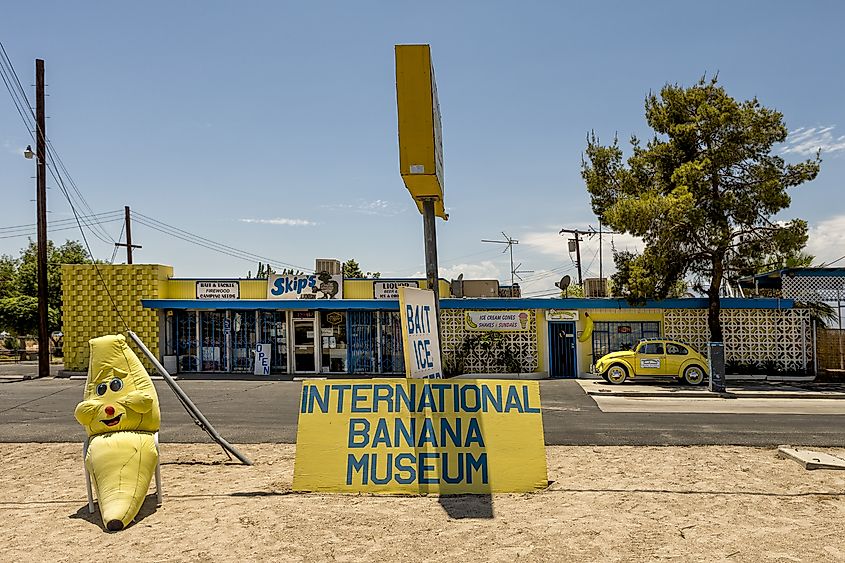 International Banana Museum is the world largest collection. 