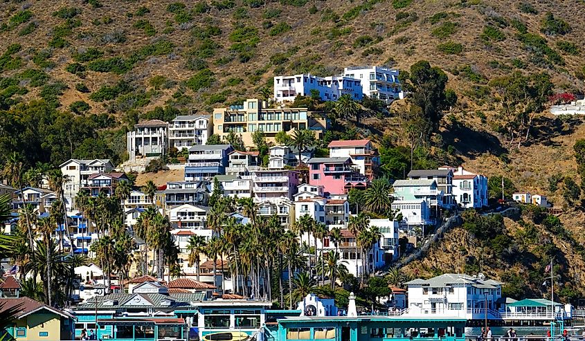 Santa Catalina Island, Avalon, California. Image credit Darryl Brooks via Shutterstock