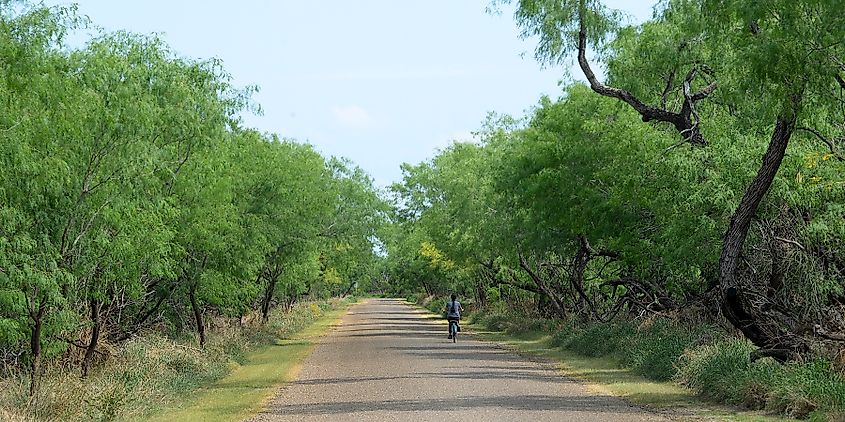 A cyclist in Bentsen-Rio Grande Valley State Park, Texas.