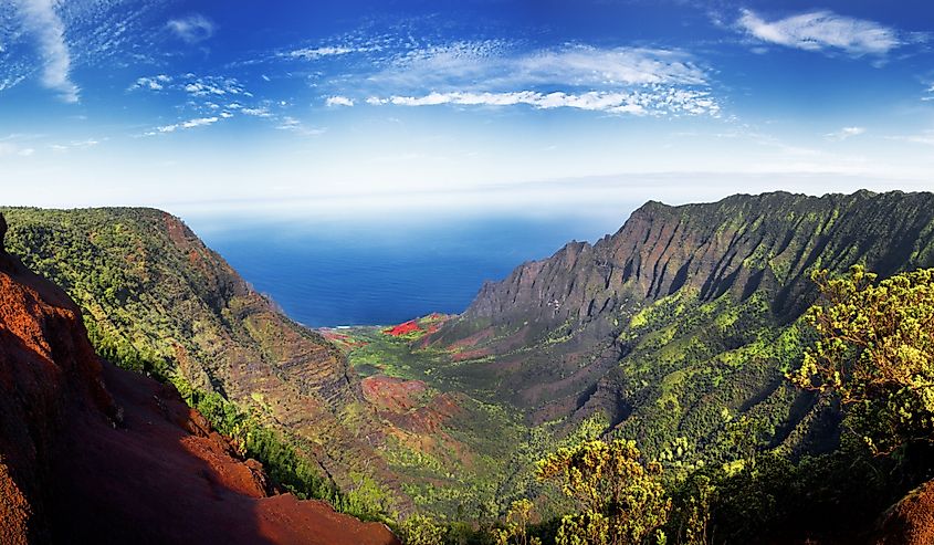 Panoramic view of lush green foliage in Waimea Canyon and NaPali coast Kauai, Hawaii.