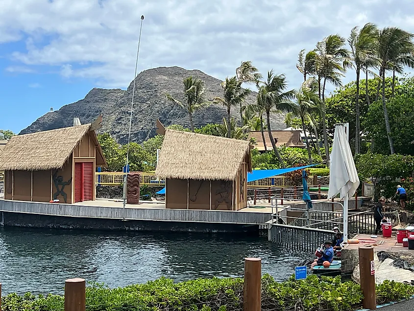 Aloha Naia Show at Sea Life Park Hawaii in Waimanalo Beach on the island of Oahu in Hawaii