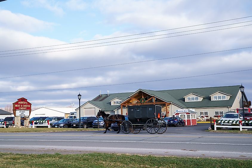 An Amish buggy in Shipshewana, Indiana