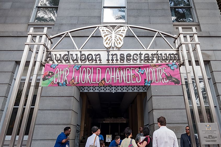 Exterior view of Audubon Insectarium, New Orleans.