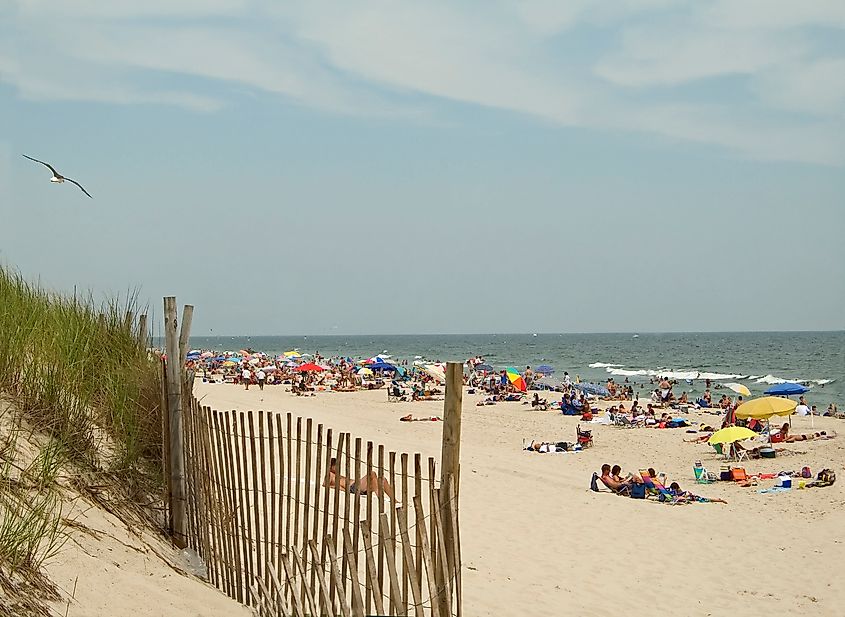 A crowded beach at the Island Beach State Park, New Jersey.