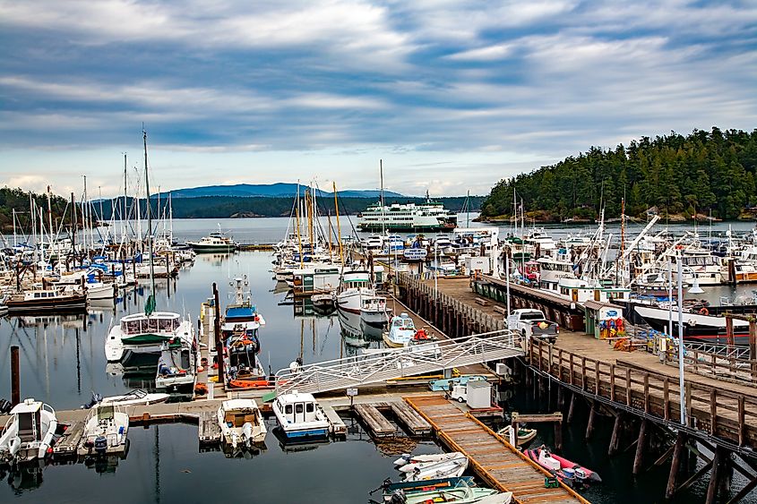 Washington State Ferry and boats moored at Friday Harbor, San Juan Island, Washington.