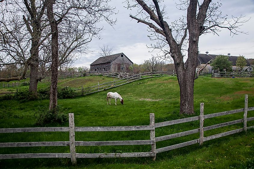 Early spring in Exeter, Rhode Island.