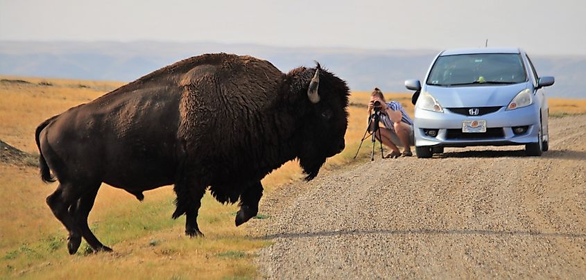 The Grasslands National Park near Val Marie, Saskatchewan, Canada