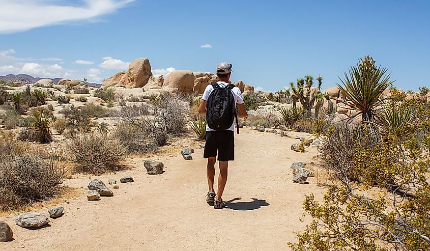 Young man hiking with backpack in the desert between boulders and joshua trees on Arch Rock Trail in Joshua Tree National Park, California.