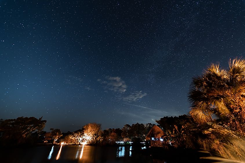 View of night sky stars and faint milky way from Big Cypress National Reserve in the Everglades.