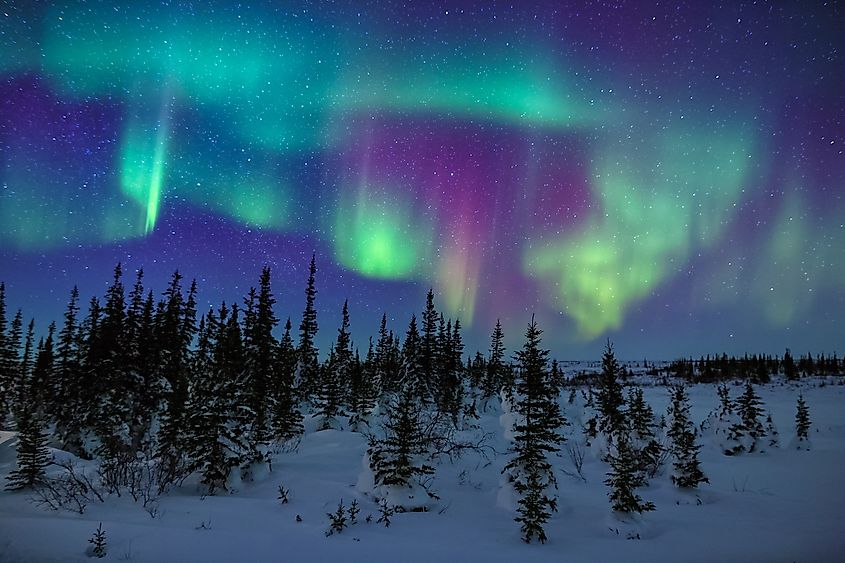 Northern lights in Alaska.