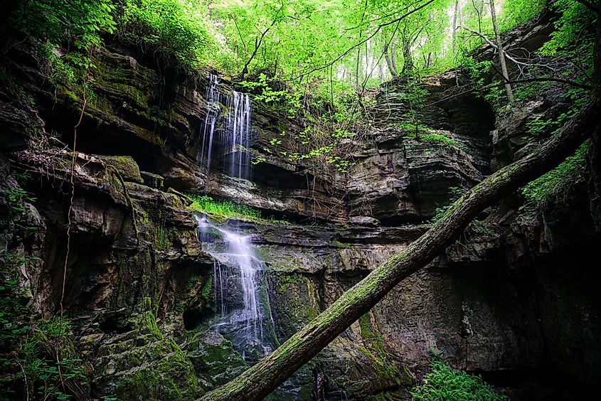 Lost Sink Falls in Alabama, a hidden waterfall cascading into a deep sinkhole, surrounded by moss-covered rocks and dense forest.