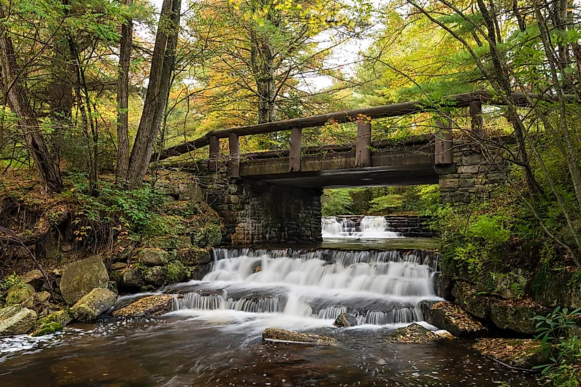 Serene nature at Hickory Run State Park, Pennsylvania.