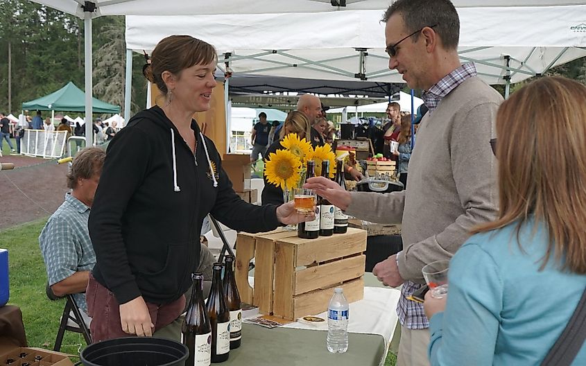 Cider Swig Festival at Sehmel Homestead Park, Penmet Parks, hosted by The Greater Gig Harbor Foundation on a cool fall day