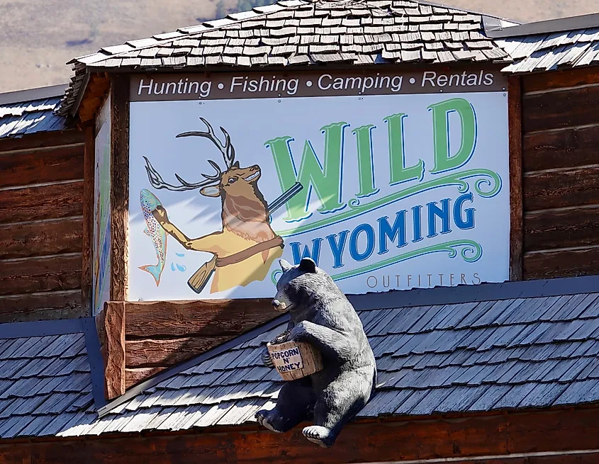 Wild Wyoming Outfitters store sign with bear statue on roof